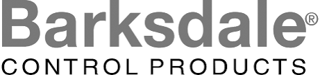Company name
